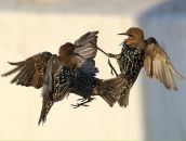 Фотография Ушаковой Иры