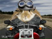 Фотография Анкиной Елены