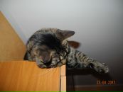 Фотография Клименковой Анны