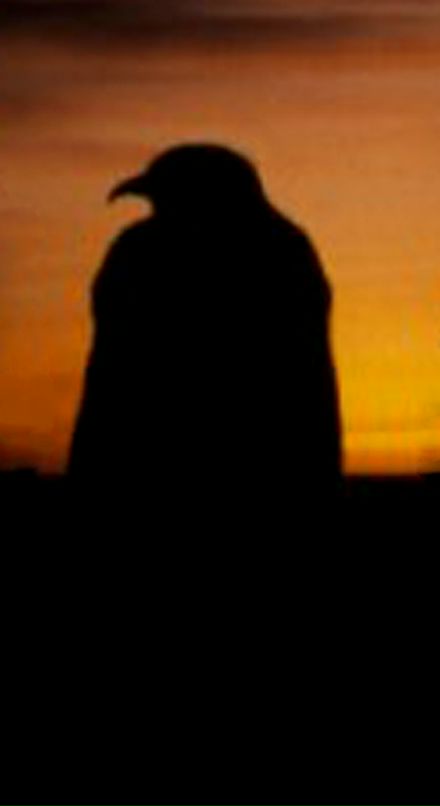 Стас Беляев фотография #27