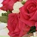 Вікторія Капля фотография #45 (источник - https://vk.com/id23414341)