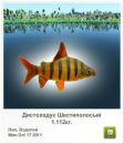 Вадім Горковенко фотография #7 (источник - https://vk.com/id132061658)