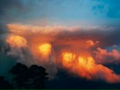 Віталій Бричинський фотография #19 (источник - https://vk.com/id81566454)
