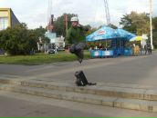 Дмитрий Пуш фотография #6 (источник - https://vk.com/id916721)