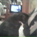 Іван Назаров фотография #34 (источник - https://vk.com/id134915927)