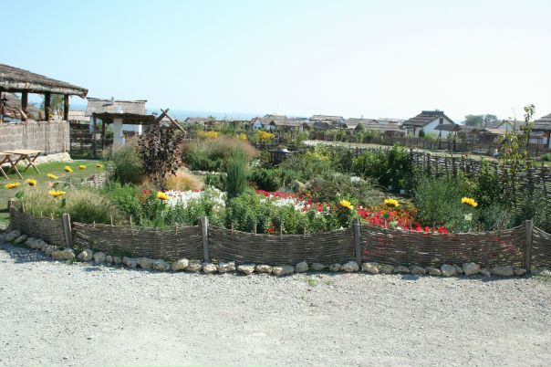 Сергей Бабенко фото №5