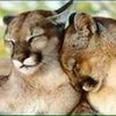 Фотография Крикуновой Яны