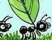 Вадім Пожарнік фотография #42 (источник - https://vk.com/id89720309)