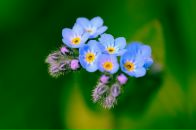 Фотография Захарова Юлия