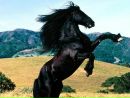 Віталій Сапіга фотография #2 (источник - https://vk.com/id156532834)