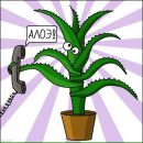 Фотография Semenova Sveta