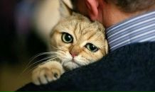 Наталія Беца фотография #47 (источник - https://vk.com/id22380655)