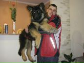 Діма Фандистий фотография #31 (источник - https://vk.com/id51900146)