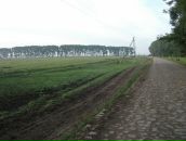 Бодя Вітер фотография #49 (источник - https://vk.com/id19544824)