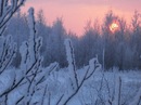 Михаил Артюшенко фотография #4 (источник - https://vk.com/id146608756)