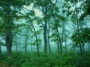 Емілія Мовчан фотография #30 (источник - https://vk.com/id65441918)