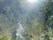 Фотография Анатольевича Геннадия