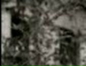 Дімончик Качкан фотография #29 (источник - https://vk.com/id140023221)