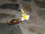 Фотография Ершовой-Бирюковой Елены