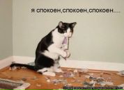 Дима Tryasunoff фотография #44 (источник - https://vk.com/id2384341)