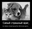 Woland _22 фотография #27 (источник - https://vk.com/id163348260)