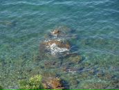 Ирина Щербинина фотография #44 (источник - https://vk.com/id866608)