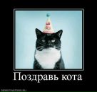 Фотография Котлюбы Валерии