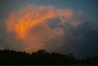 Виталий Маланин фотография #24 (источник - https://vk.com/id698311)