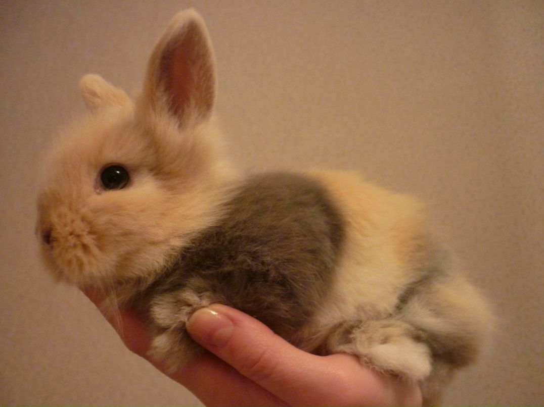 Анна Кельбах фотография #31