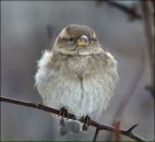 Фотография Дунаевой Татьяны