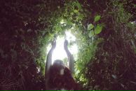 Іванка Хом'як фотография #34 (источник - https://vk.com/id11887036)