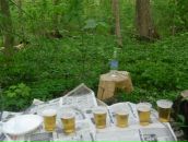 Владислав Рябокінь фотография #45 (источник - https://vk.com/id46332240)