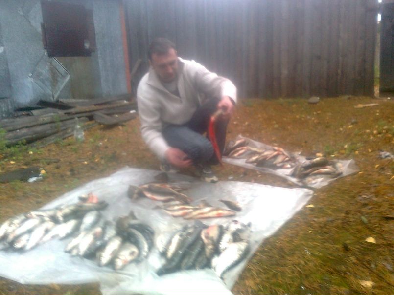 Игорь Матвеев фото №3