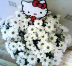 Ольга Єсавочкіна фотография #34 (источник - https://vk.com/id19381788)