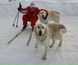 Фотография Потаповой Екатерины