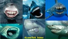 Люб Янішевський фотография #3 (источник - https://vk.com/id155954012)