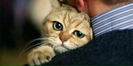 Фотография Пивиной Светы