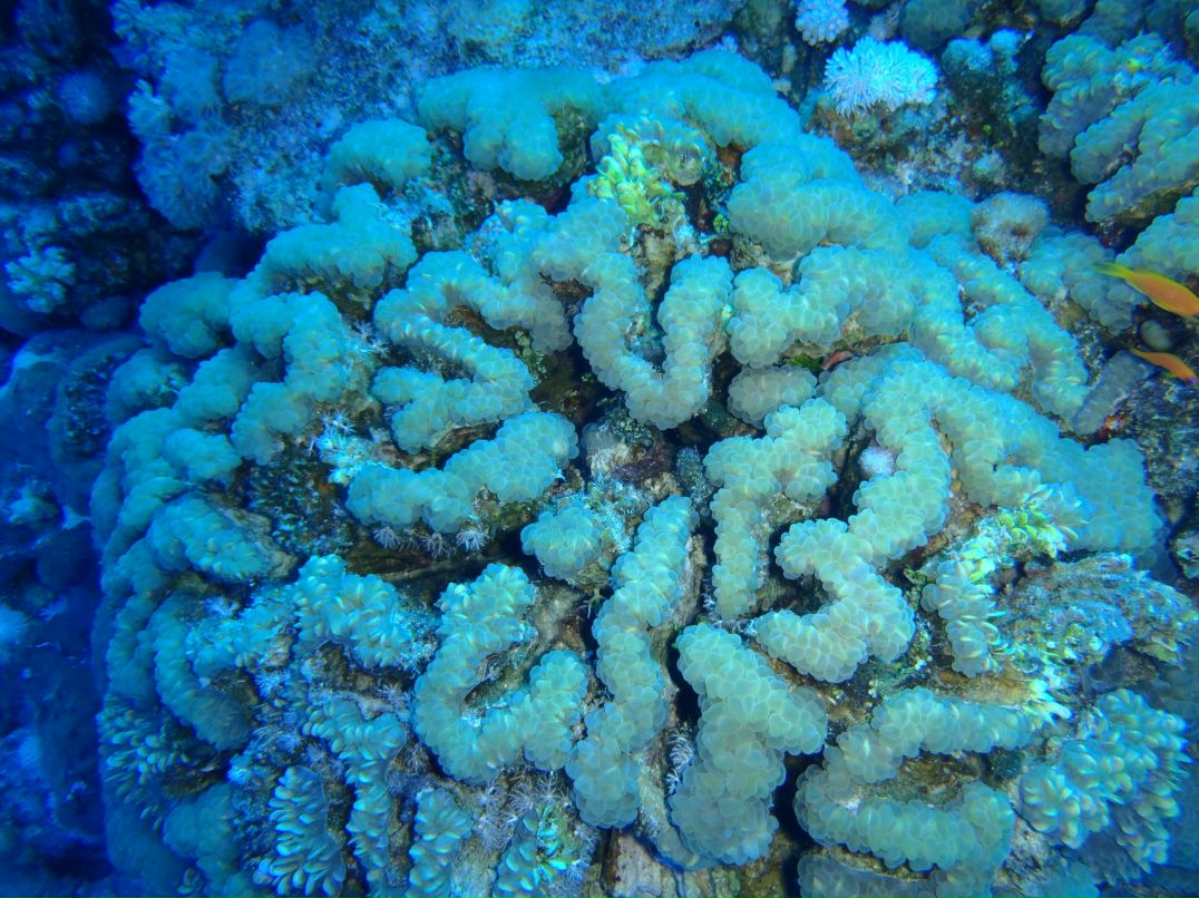 Vit Mi фотография #11