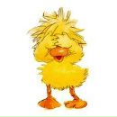 Фотография Поплутиной Светланы