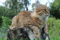 Фотография Аржаевой Татьяны