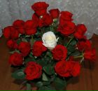 Фотография Напалковой Жанны