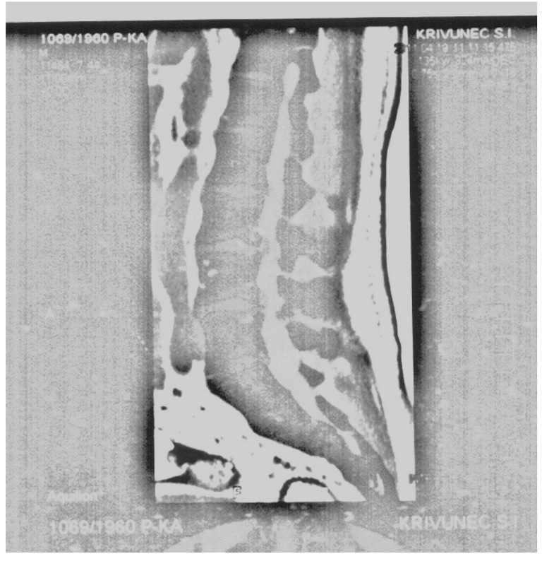 Сергей Кривунец фотография #22