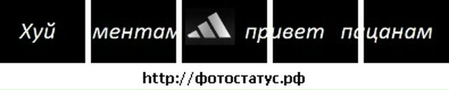 Владислав Лісовський фотография #23 (источник - https://vk.com/id71103328)