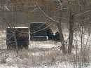 Γеннадий Κолобов фотография #28 (источник - https://vk.com/id152145282)
