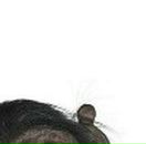 Олександр Звірич фотография #7 (источник - https://vk.com/id43719026)