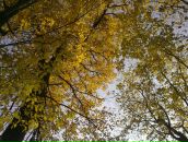 Фотография Ивановой Марины