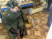 Фотография Сергиенко Владимира