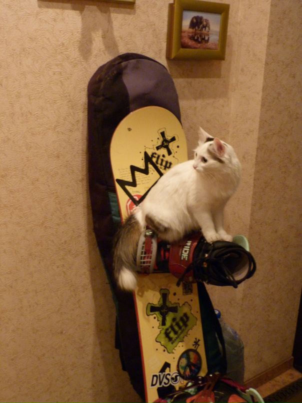 Ев Ро фотография #37