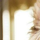 Марія Кобзар фотография #35 (источник - https://vk.com/id96067224)