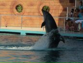 Фотография Петровой Ксении